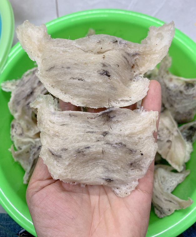 Hình ảnh tổ yến thô chưa qua tinh chế 