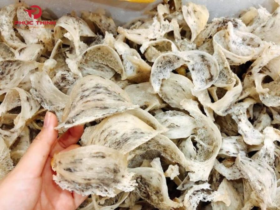 Hình ảnh tổ yến