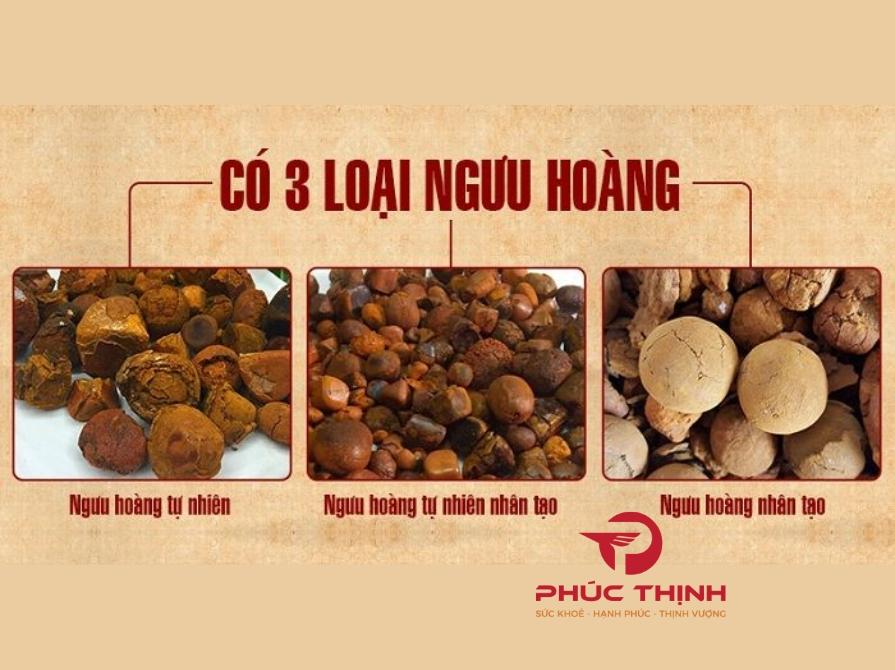 Các loại ngưu hoàng phổ biến