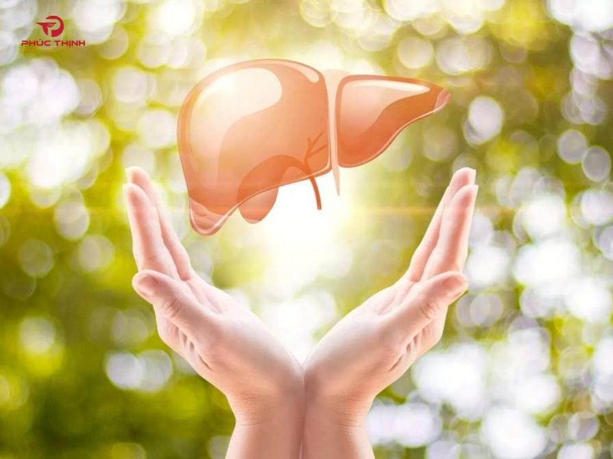 Công dụng của bổ gan Hàn Quốc đối với sức khỏe