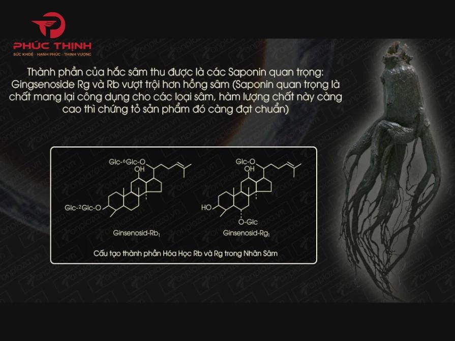 Các saponin quan trọng trong hắc sâm Hàn Quốc