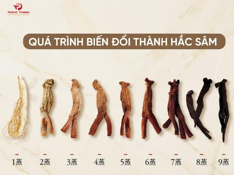 Quá trình biến đối thành hắc sâm