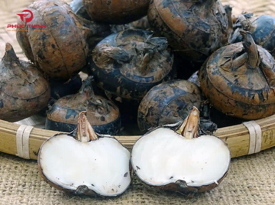 Hình ảnh củ cây hoàng tinh hoa trắng