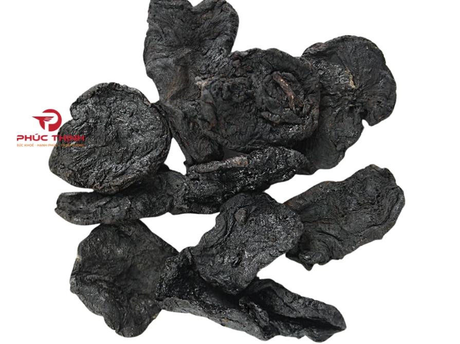 Tổng Quan Về Cây Địa Hoàng