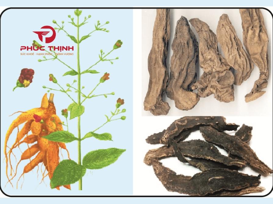 Hình ảnh huyền sâm