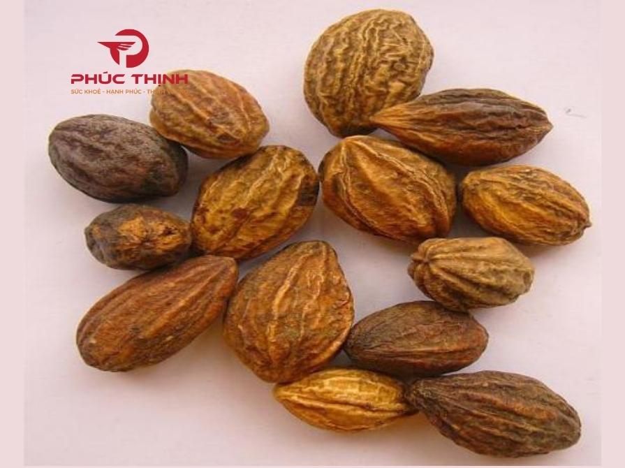 Giới thiệu về cây kha tử