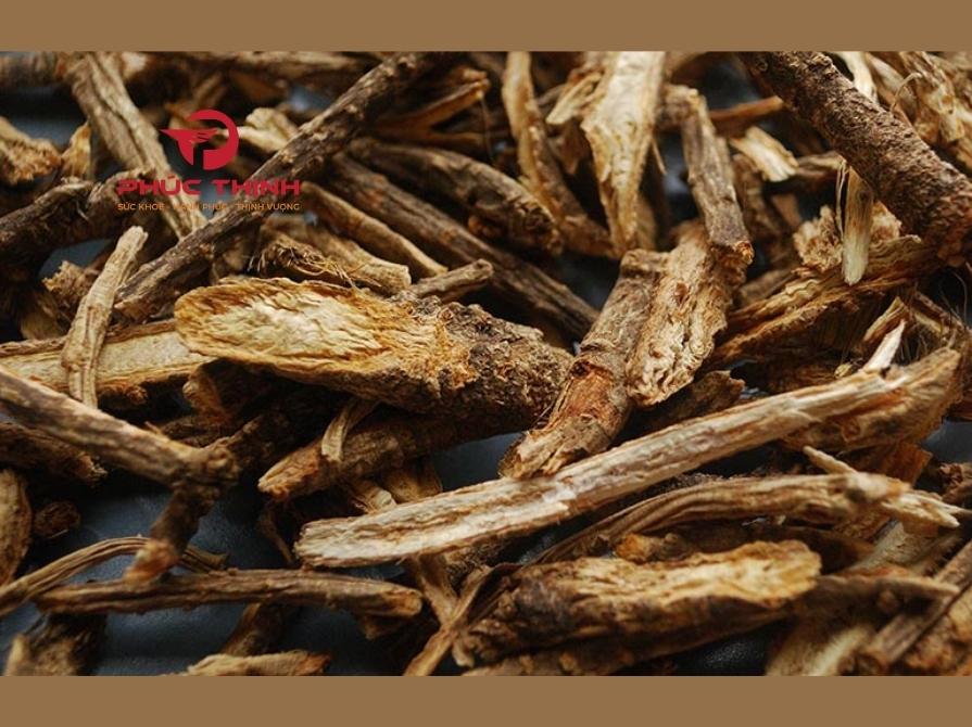 Tổng Quan Về Cây Phòng Phong