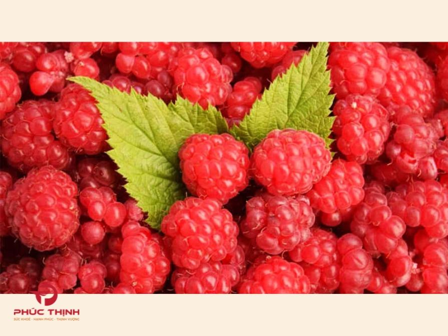 Cây Phúc Bồn Tử Là Gì?