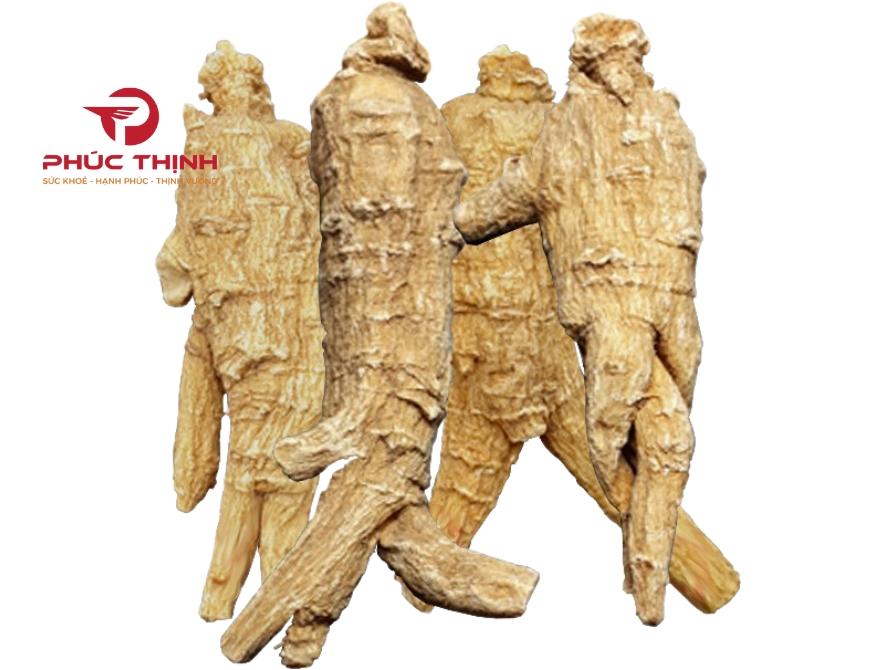 Hình ảnh sâm Mỹ