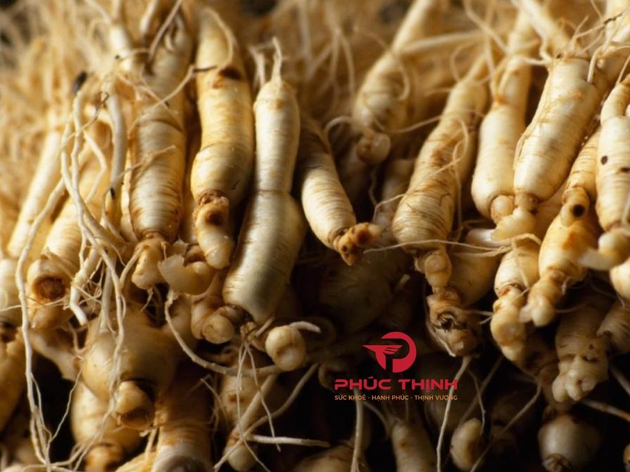 Hình ảnh sâm Mỹ