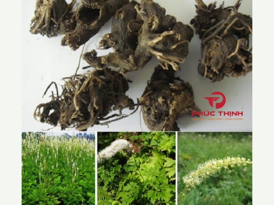 Giới Thiệu Về Thăng Ma