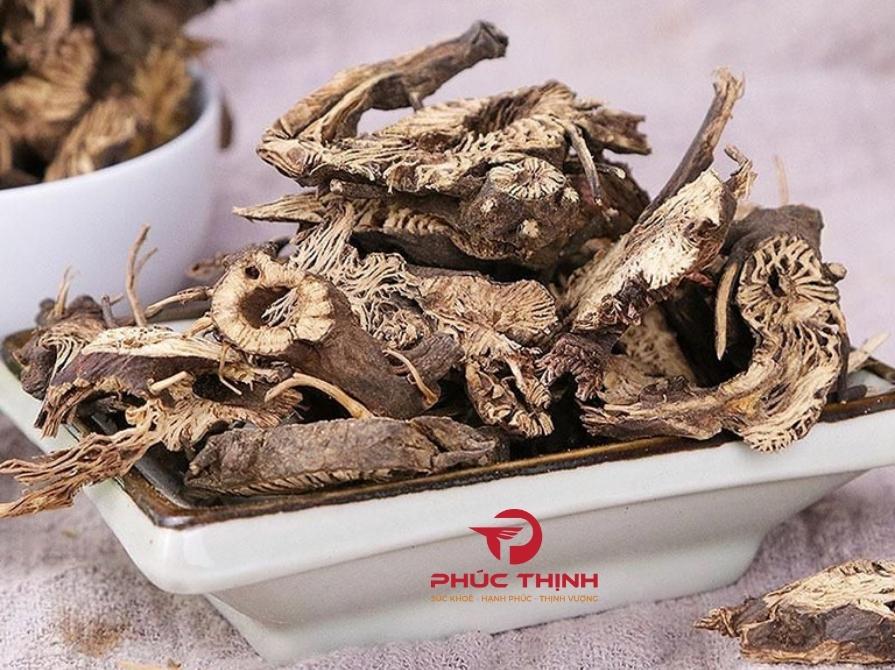 Tại Sao Nên Chọn Thăng Ma?
