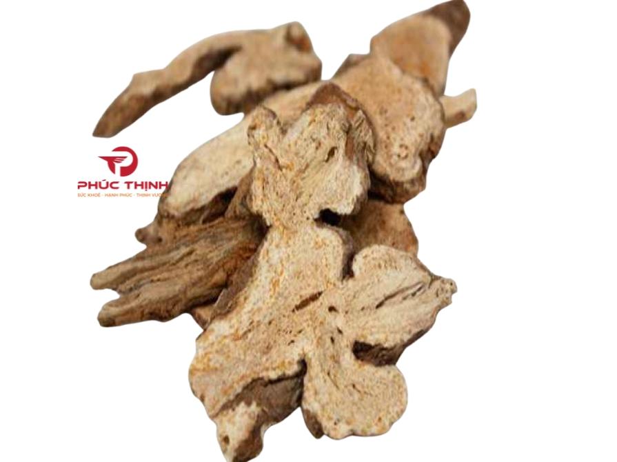 Thương Truật Là Gì?