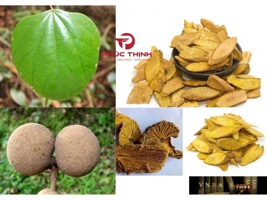 Giới Thiệu Về Cây Vàng Đắng