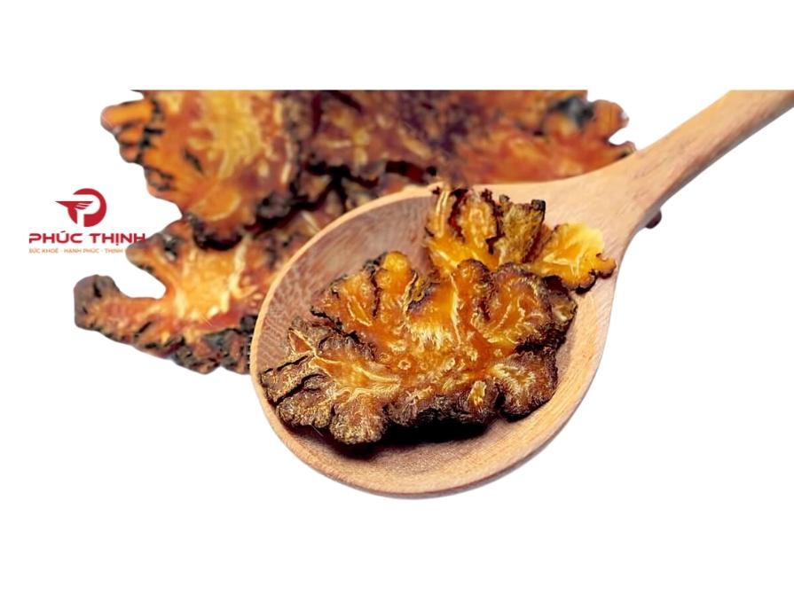 Các Bài Thuốc Chữa Bệnh Từ Xuyên Khung