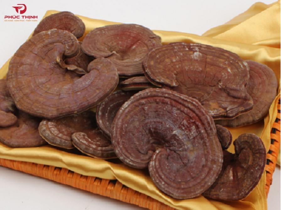Hình ảnh nấm linh chi