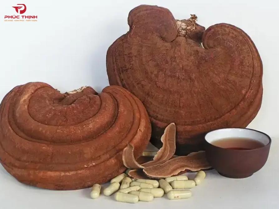 Hình ảnh nấm linh chi
