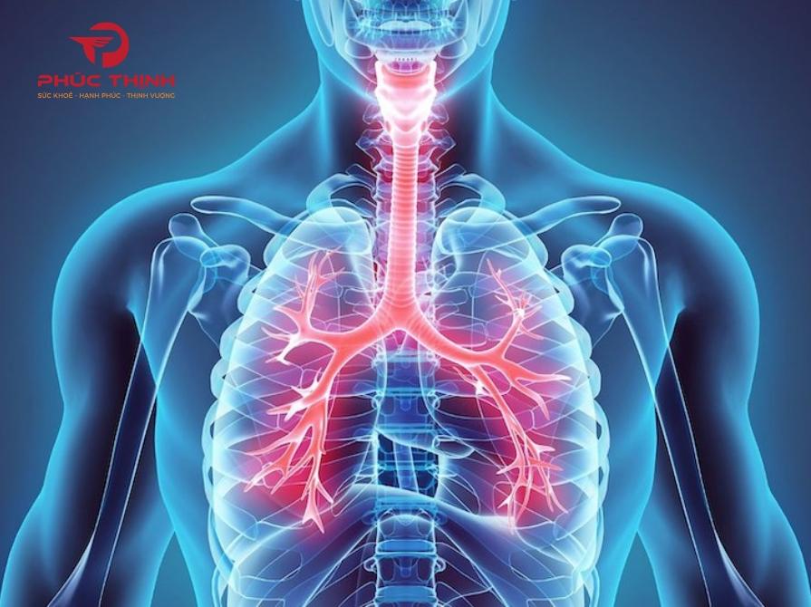 Tác dụng của nước hồng sâm nhung hươu đối với sức khỏe