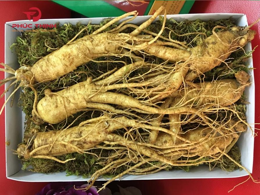 Hình ảnh sâm Hàn Quốc