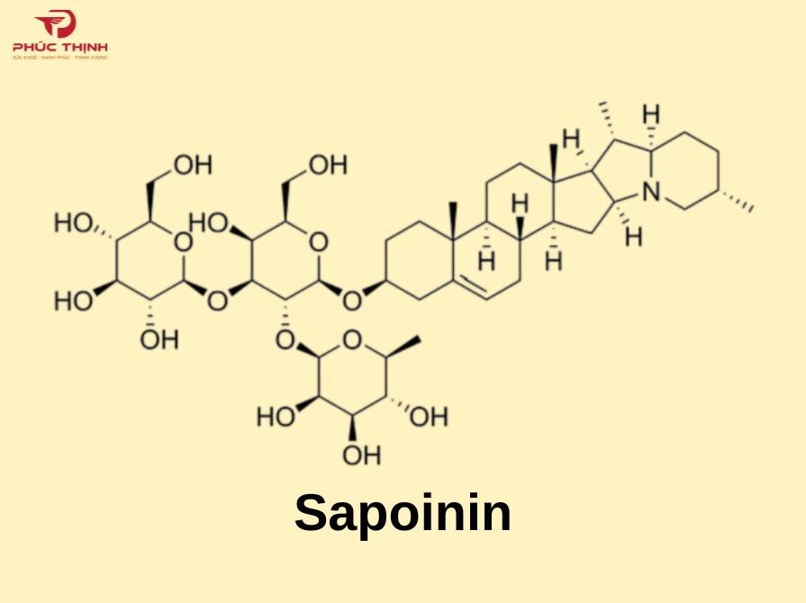 Hoạt chất quan trọng có trong cả sâm Hàn Quốc và sâm Việt Nam