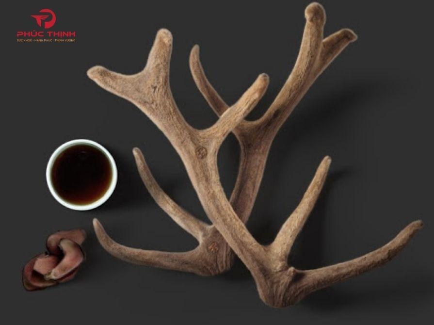 Sâm và nhung hươu đều là hai dược liệu quý được đánh giá cao về hoạt chất trong Đông y