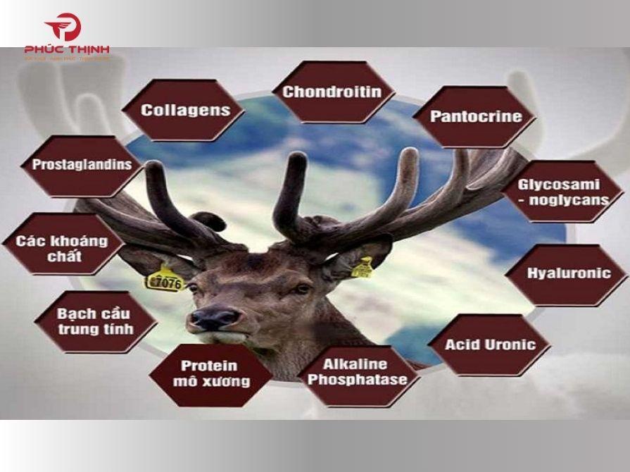 Các hoạt chất quan trọng có trong sâm nhung hươu