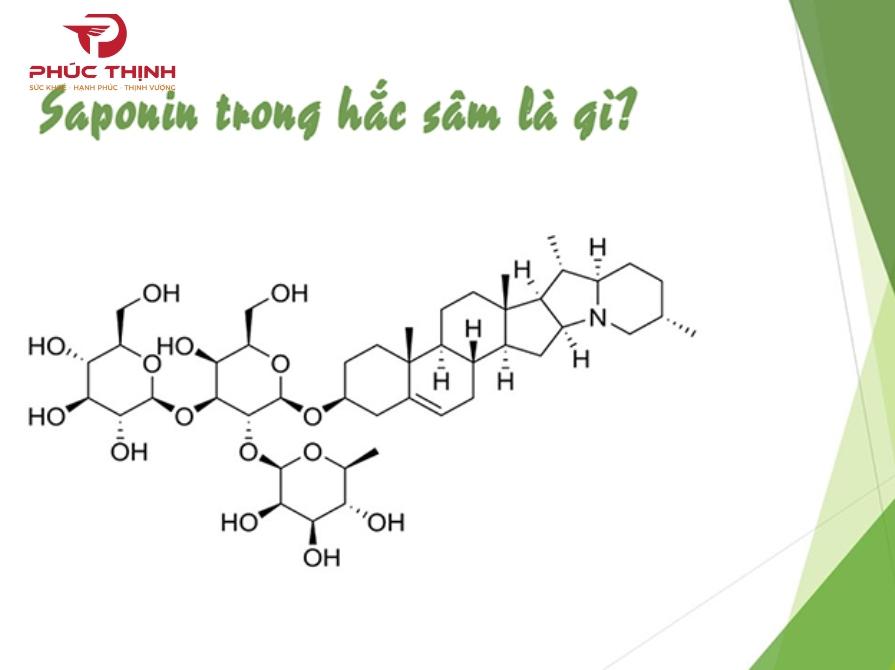 Hoạt chất quan trọng có trong sâm đen Hàn Quốc