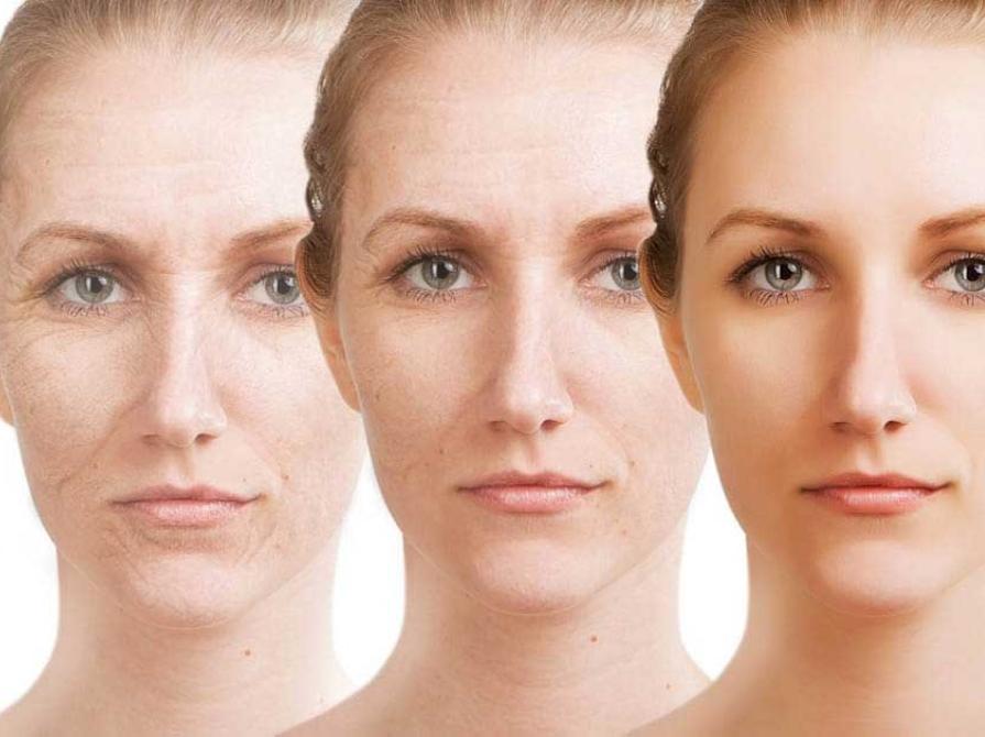 Tác dụng của nấm linh chi đối với sức khỏe