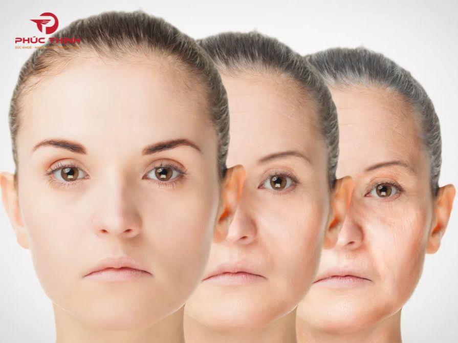 Công dụng của sâm đen Hàn Quốc đối với sức khỏe