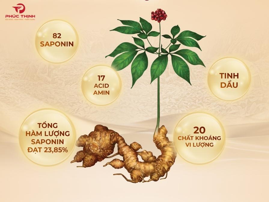 Hoạt chất quan trọng có trong sâm Lai Châu