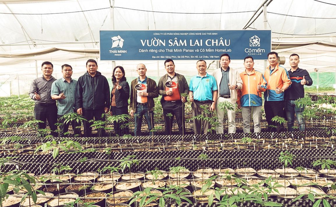 Đoàn nghiên cứu sâm Lai Châu tại vườn sâm của Thái Minh Panax