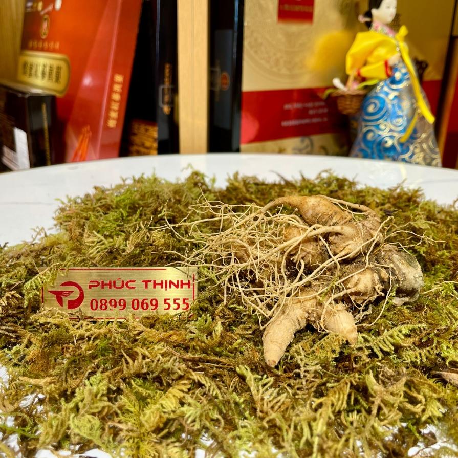 Gợi ý sản phẩm phù hợp để ngâm rượu sâm