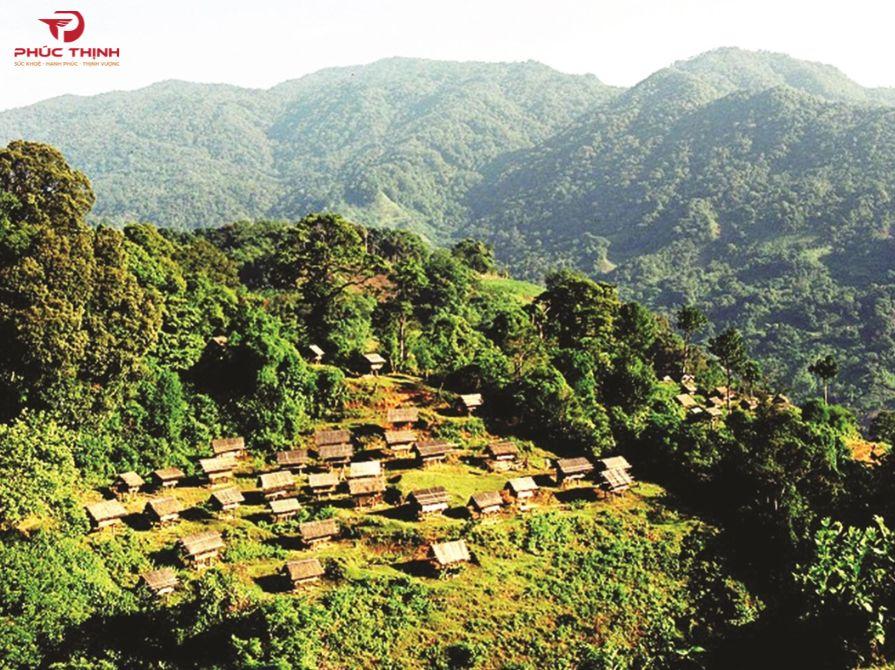 Chính địa hình khác nhau làm cho hoạt chất tích lũy của mỗi loại khác nhau