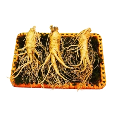 Nhân sâm tươi Geumsam Hàn Quốc 6 năm tuổi loại 3 củ/kg