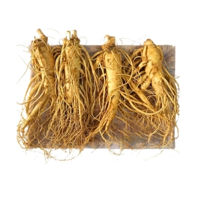 Nhân sâm tươi Geumsam Hàn Quốc 6 năm tuổi loại 4 củ/kg