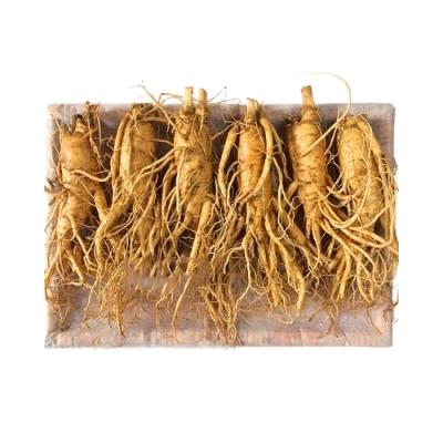 Nhân sâm tươi Geumsam Hàn Quốc 6 năm tuổi loại 6 củ/kg