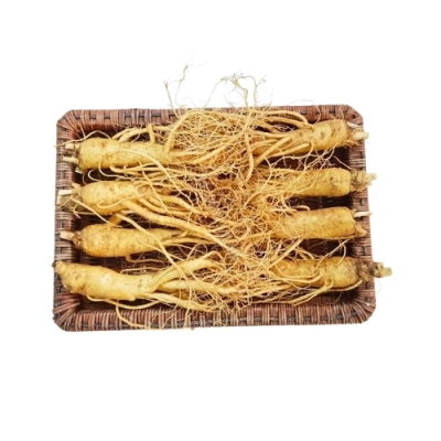 Nhân sâm tươi Geumsam Hàn Quốc 6 năm tuổi loại 8 củ/kg