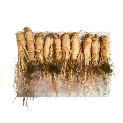 Nhân sâm tươi Geumsam Hàn Quốc 6 năm tuổi loại 10 củ/kg