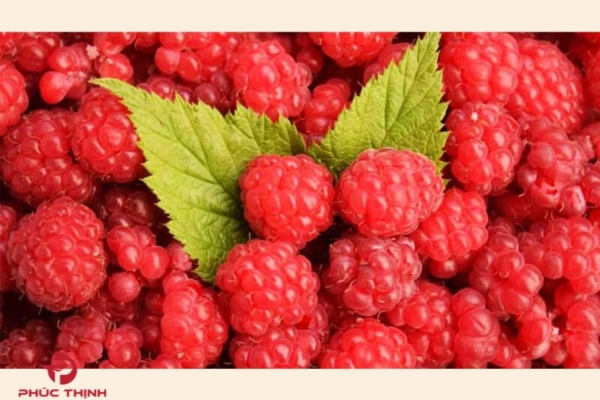 Phúc Bồn Tử – “Siêu Trái Cây” Giúp Giảm Cân, Đẹp Da & Tăng Cường Sức Khỏe