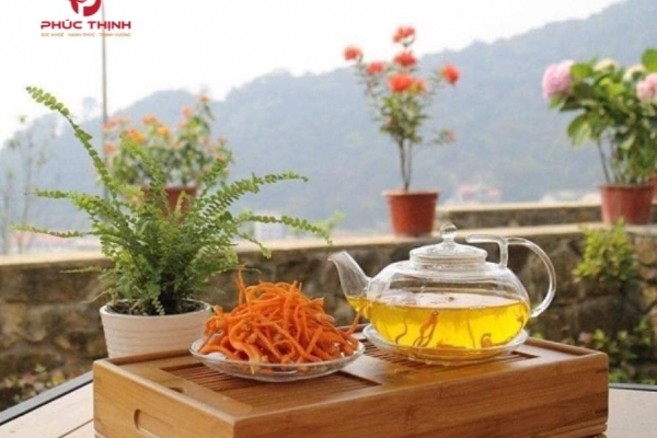 Nên dùng đông trùng hạ thảo dạng nguyên con, dạng nước hay dạng viên?