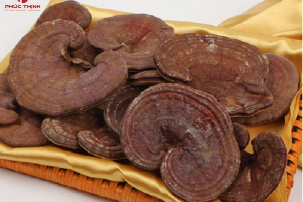 Nấm linh chi có giúp trẻ hóa da không? Sự thật khoa học ít người biết