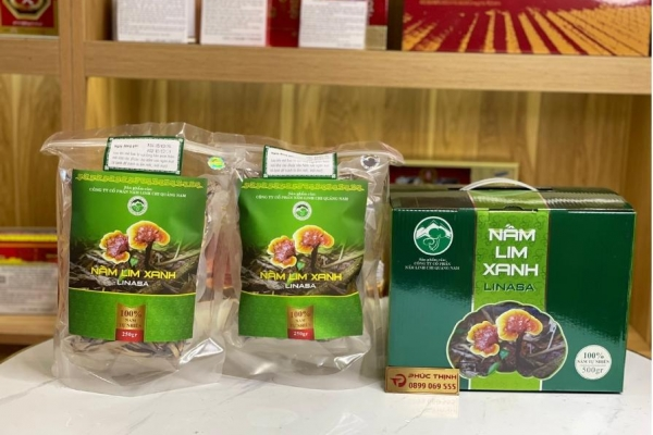Nấm linh chi Việt Nam có tốt không? Phân tích ưu điểm và hạn chế thực tế