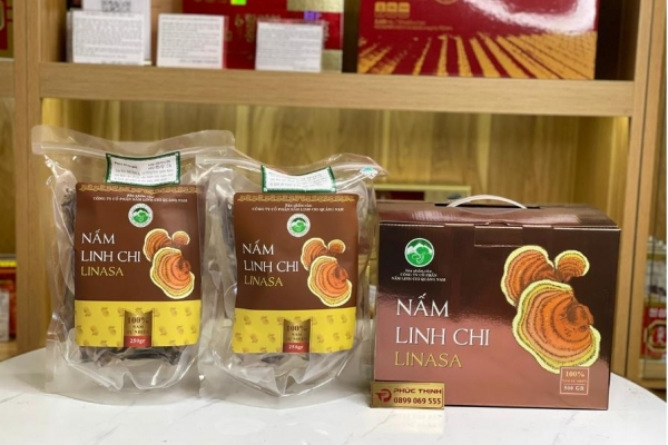 Cách sử dụng nấm linh chi Việt Nam đúng cách cho người mới bắt đầu