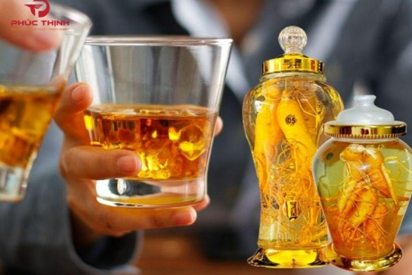 Uống rượu sâm mỗi ngày có tốt không? Những điều bạn nên biết