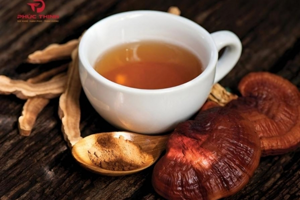 Nấm linh chi cách dùng đúng và những điều cần lưu ý