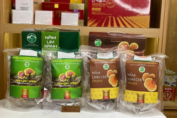 Các loại nấm linh chi ở Việt Nam: Đặc điểm và cách phân biệt