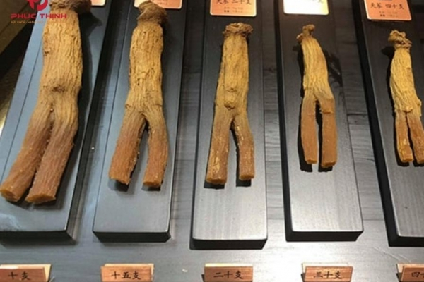 Thiên sâm Hàn Quốc là gì? Vì sao được xếp vào dòng hồng sâm cao cấp?