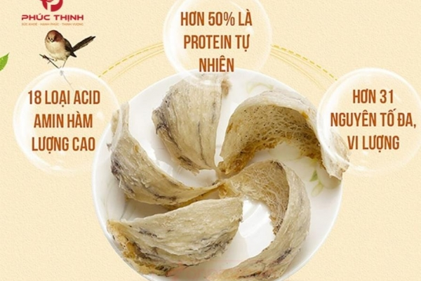 Thành phần tổ yến gồm những gì? Giá trị dinh dưỡng cần biết